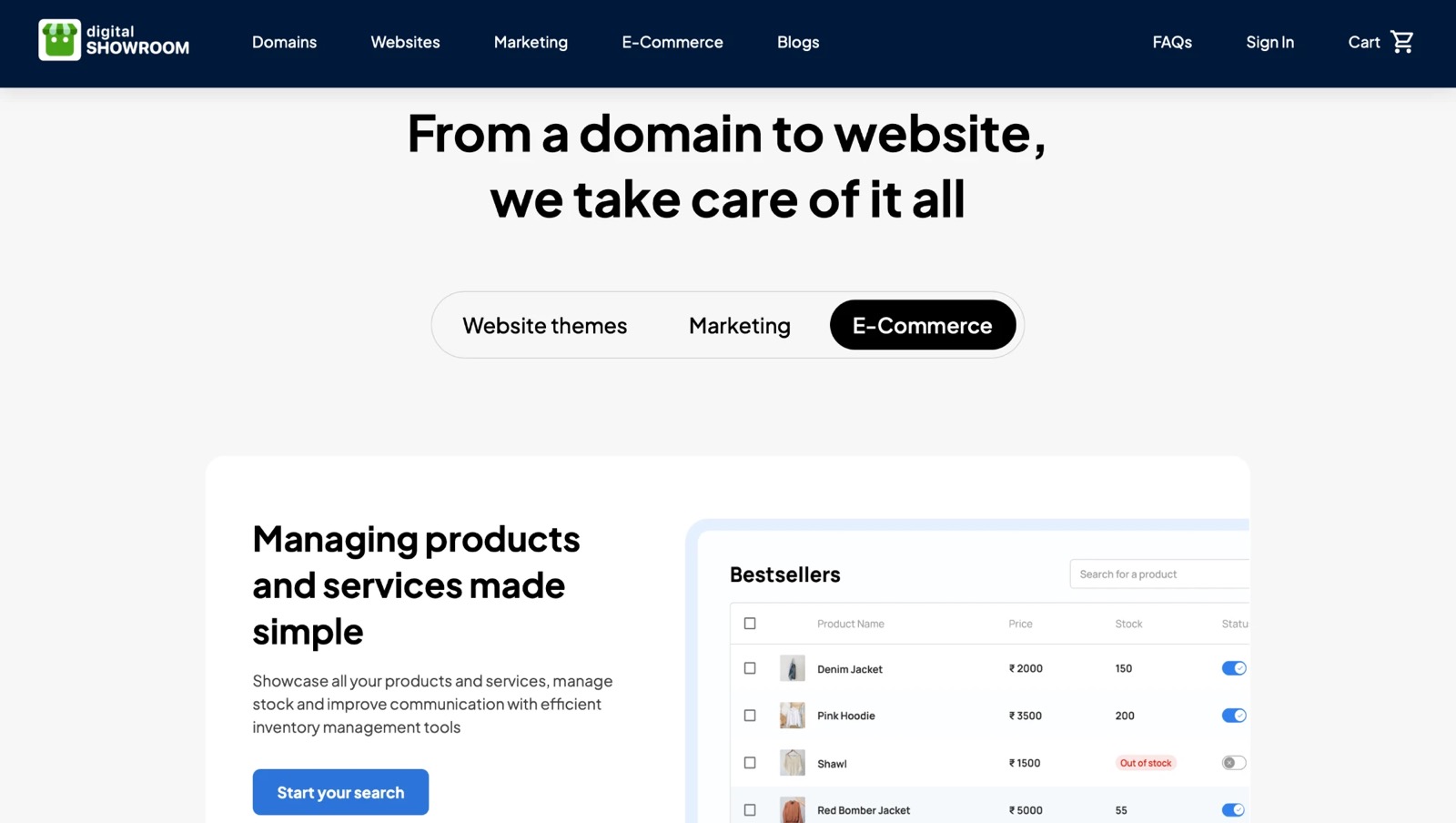 Digital Showroom’s website: “From a domain to website, we take care of it all”, with the product manager below